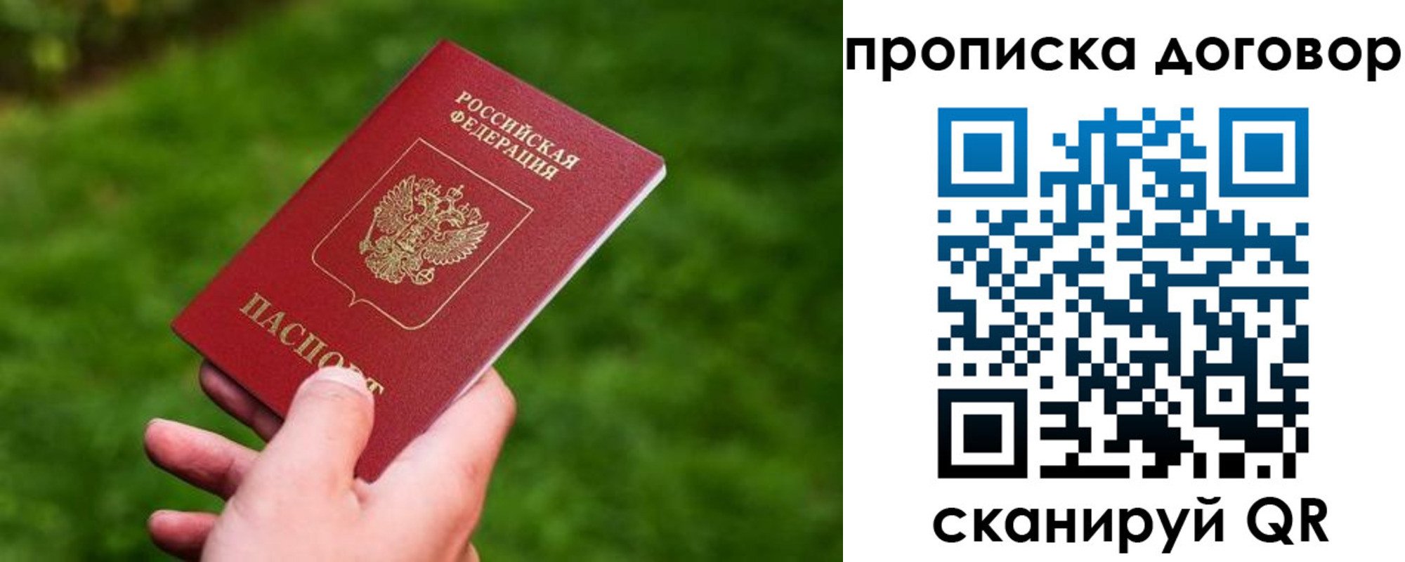 прописка гарантия в Реутове